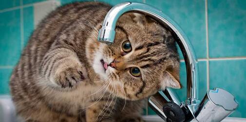 График отключения горячей воды 2021